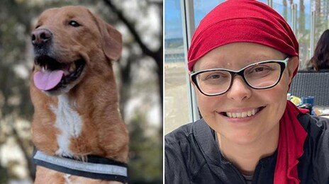 “남편 암 눈치챘던 애견, 이번엔 내 가슴 쿡쿡…유방암 발견”