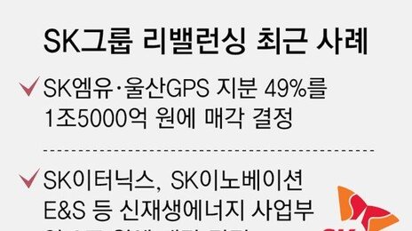 SK그룹, 고강도 리밸런싱… ‘알짜자산’ 송유관公 지분 매각 추진