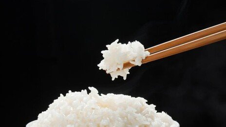 밥과 빵, 냉동했다가 데워먹으면 살 빠진다?[건강팩트체크]