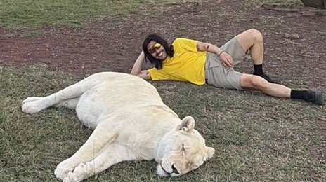 노홍철 ‘약에 취한 사자’ 의혹에 “약물 주입 아냐…낮잠 시간”