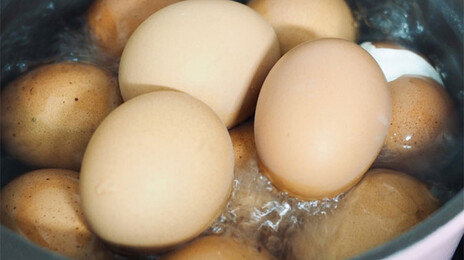 달걀, 조리법 따라 영양 달라진다…가장 건강하게 먹는 방법은?