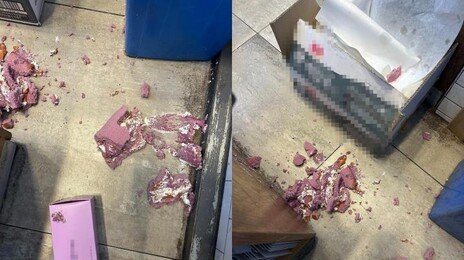 “유통기한 짧다” 케이크 사 간 다음날 찾아온 손님, 빵던져 난장판 [e글e글]