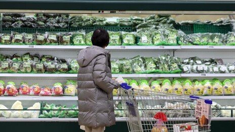 “반값 할인한다고?”… 대형마트, 봄철 맞이 대규모 할인 행사