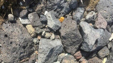 석달만에 또…제주 해안서 ‘茶’ 적힌 마약 봉지 발견