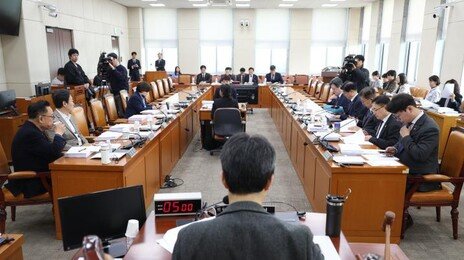 “정권 맞춤형 수사 반복될 것”…중수청법, 공청회서 질타