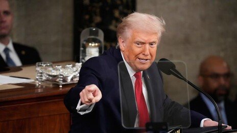 “내 삼촌은 MIT 교수, 내 피가 더 좋아”…트럼프 매시 비난