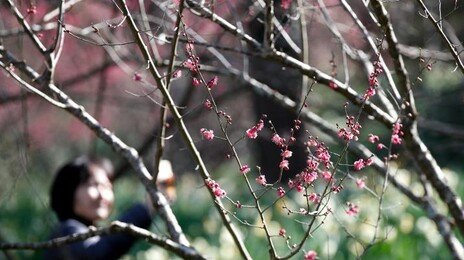 주말 전국 흐림 속 낮 최고 15도…일교차 15도 안팎