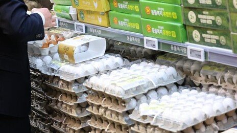 소·돼지·닭 전염병 확산에 가격 껑충…달걀 1년새 20% 올라
