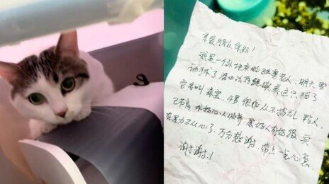 수술 앞둔 주인의 마지막 배려…현금·쪽지와 남겨진 고양이