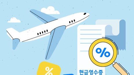 ‘항공료 부풀려 여비 사용’…인천 기초의원 등 24명 송치