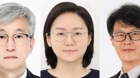 DGIST, 호르몬 부작용 없는 탈모 치료 펩타이드 세계 최초 개발