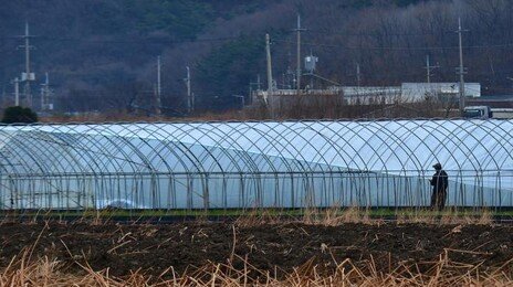 석유 최고가격제 시행 무색…농업용 난방유, 18일째 올라