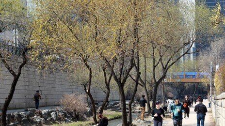 내일 수도권·중부 미세먼지 ‘나쁨’…낮 최고 19도 포근