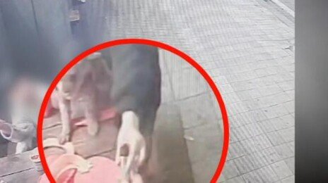 초등생 딸에 전자담배 건넨 엄마, 아동방임 혐의 입건
