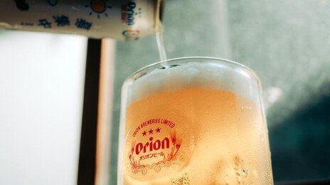 “노재팬은 옛말” 日 맥주 1178억 수입 최고치, 화려한 부활