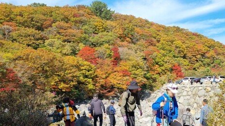 작년 외국인 205만명 국립공원 찾아…방문 1위는 ‘한라산’