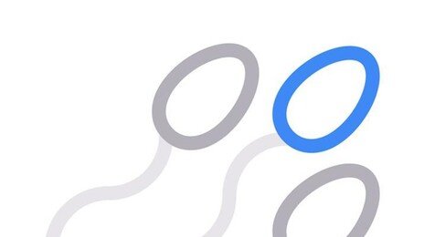정자도 ‘유통기한’ 있다…“금욕 길수록 임신에 유리” 믿음 깨져