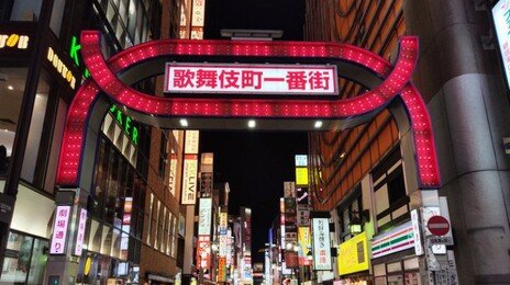 ‘성 관광지’ 오명에 日 70년만에 칼 뺐다…“매수자도 처벌”