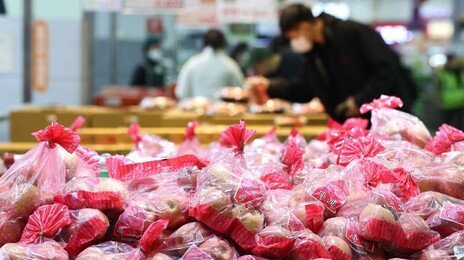 “망고 후숙하라더니 썩어있다”…2월 ‘과일 불만’ 접수 68.9% 급증