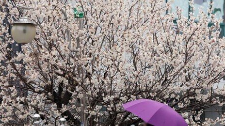 [날씨]월요일 전국에 ‘봄비’…수요일부터 맑고 포근