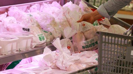 닭고기 가격 급등에 소매가도 평년 대비 9% 올랐다