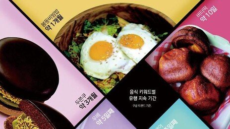 “더 쇼킹한 음식 없나요”… 두쫀쿠 석달-버터떡 열흘만에 시들