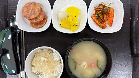 노벨상 꿈꾸는 연구소 맞나…‘소시지 3쪽 밥상’ 교수가 폭로