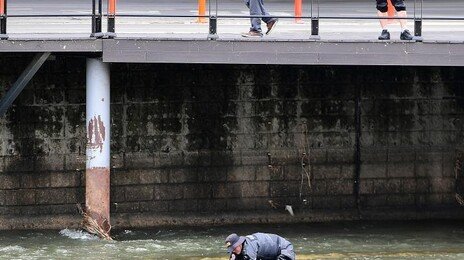 ‘대구 신천 캐리어 시신’ 범인은 딸과 사위였다