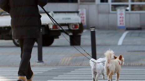 반려동물 동반 허용 음식점, 제도 시행 한달만에 1300곳 넘어