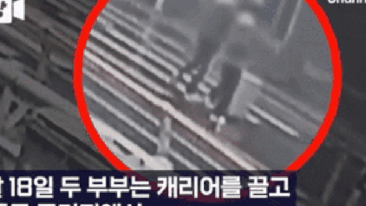 ‘장모 시신 든 캐리어’, 사위가 대낮에 끌고다녔다