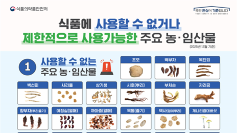 건강차라고 해서 마셨는데…‘이 식물’ 알고보니 식용 금지