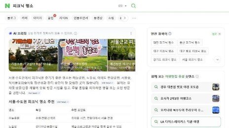 네이버, ‘가이드라인’ 역할 연관검색어 서비스 이달말 종료