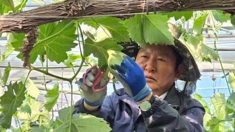 정청래, 하정우 출마 가능성에 “조만간 만날 생각”