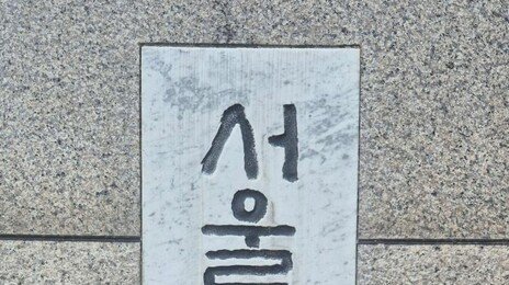 ‘수유동 식당 칼부림’ 50대, 무기징역 선고…“심신 미약 아냐”