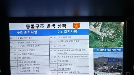“사진 확인하니 허위“ 늑대 수색 이틀째, ‘허위 제보’ 자제 당부