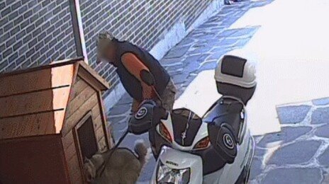 대낮 가정집 반려견 끌고간 개장수…“주소 착각했다” 주장