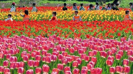 주말 낮 최고 24도 늦봄 날씨… 남부-제주엔 다시 봄비