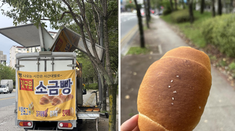 “우리 동네도 오나요?” SNS는 지금 소금빵 트럭 추적 중