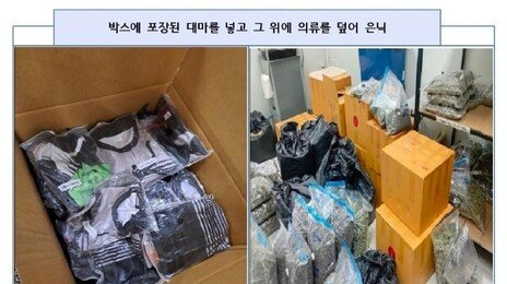 127만명분 대마 밀수…야쿠자 조직원 구속기소
