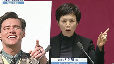 김은혜, ‘짐캐리’ 사진들고 “中관광객 짐 캐리 예산 삭감 시늉만”