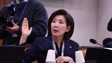 나경원 “李대통령, 가짜뉴스 사이버 렉카인가”