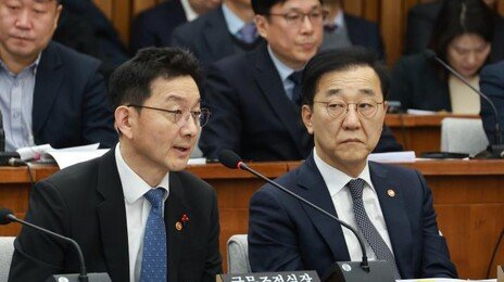 정부, 12·29 여객기 참사 현장 전면 재수색 착수