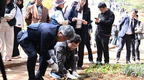 남편 ‘단종’ 장릉까지 500년 거리…정순왕후 ‘들꽃’을 보냈다