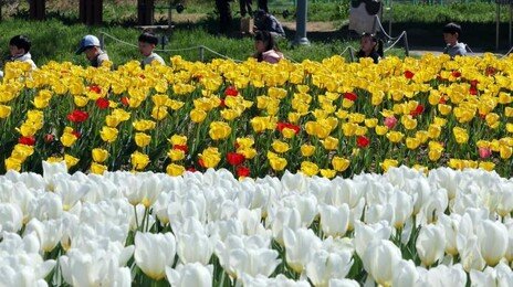 [날씨]서울 낮 최고 26도까지 올라 ‘포근’…짙은 안개