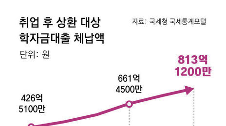 못 갚은 학자금대출 작년 800억 첫돌파