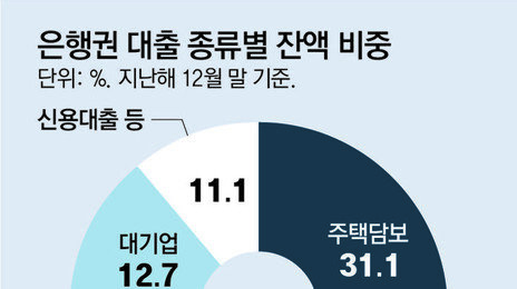 “생산적 금융 동참”에도 주담대 비중 6년새 최대