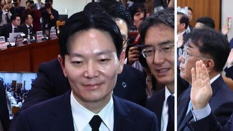 “北 리호남에 방북대가 돈줘” “대북송금, 李와 무관” 청문회 공방
