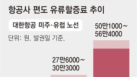 뉴욕 왕복 최고 670만원… 내달 유류할증료 가장 높은 33단계 첫 적용