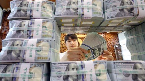 한은 “경상수지 흑자에도 환율 상승… 민간 해외투자 영향 커”