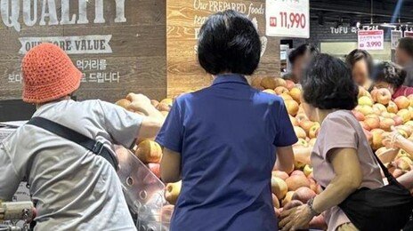 고물가에 ‘못난이 농산물’ 인기…못생겼지만 사랑받는다 값이 착해서